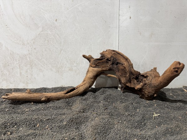 Red Driftwood R3 B55xH18 cm