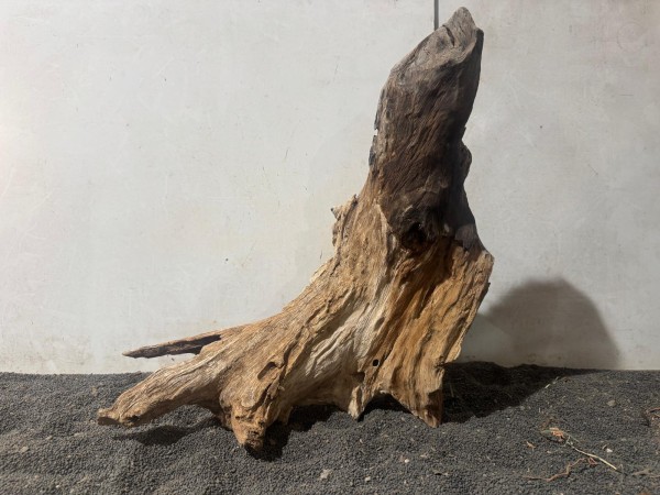 Teakholz XL13 B41xH45 cm