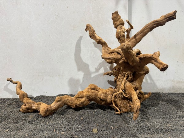 SW25 Spiderwood ca. B65xH36 cm