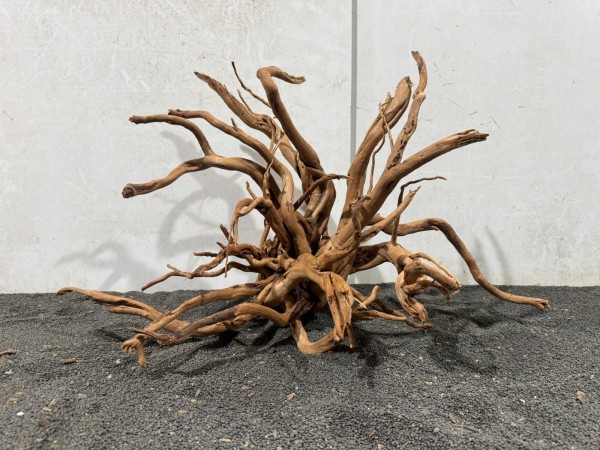 SW18 Spiderwood B63xH38 cm