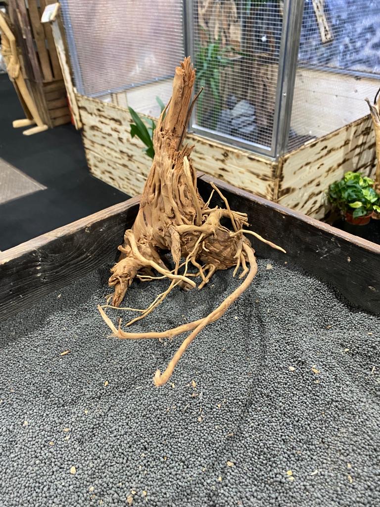 DS 6 Dragon Skin Wood ca. 32 cm Dragon Skin Wood / Curlywood Verzweigt Holz & Wurzeln