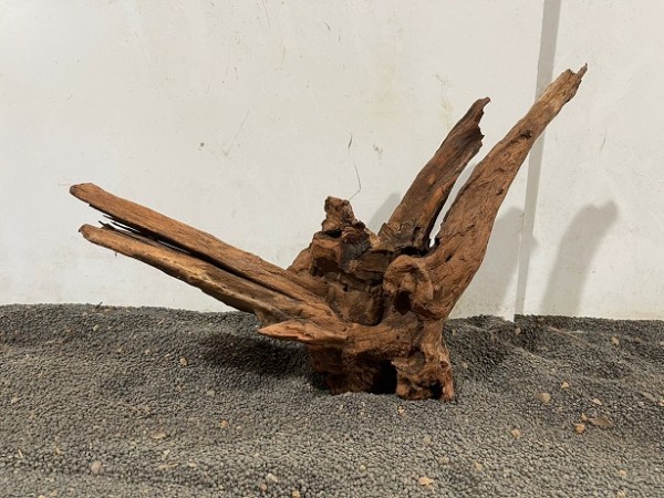 Mekong Driftwood 19 ca. B34xH25cm