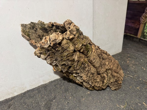 Kork K10 ca. 53x36 cm