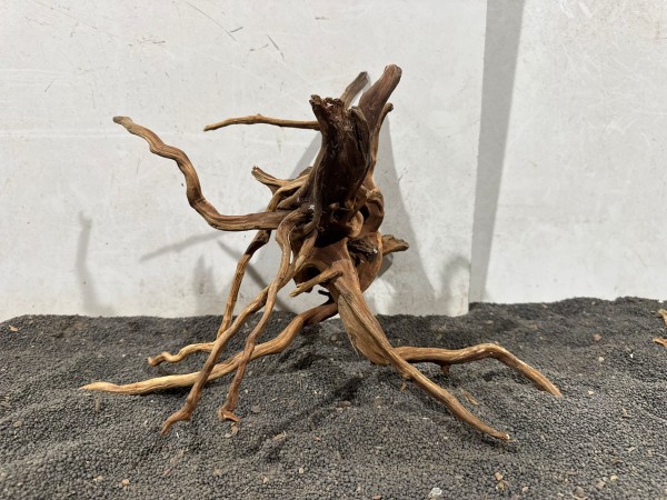 SJ6 Spiderwood Jungle B42xH28 cm