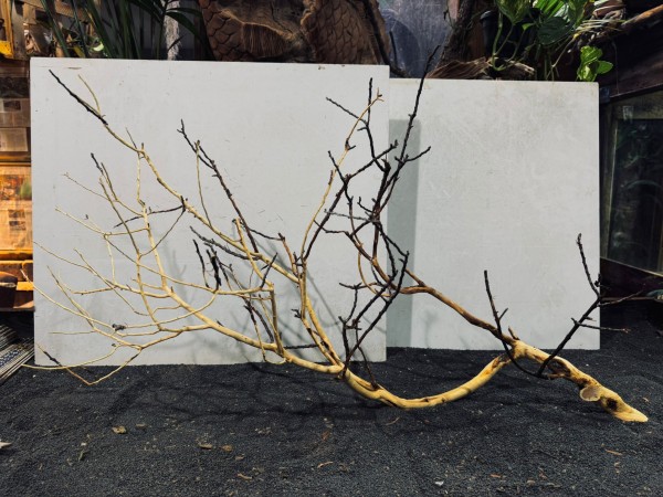 Manzanita XXL 2 ca. B93xH55 cm