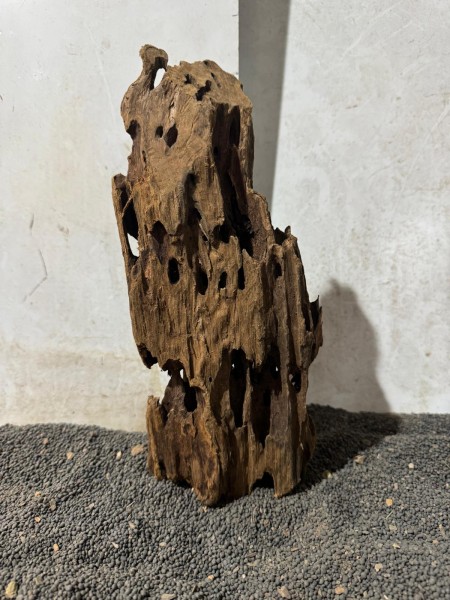 DH25 Drachenholz ca. B13xH27 cm