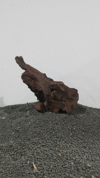 N8 Mekong Driftwood Nano Wurzel 8x15cm