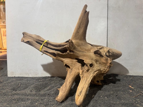 Teakholz XL14 ca B60xH45 cm