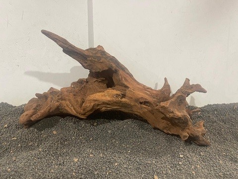 Red Driftwood R15 B31xH16 cm