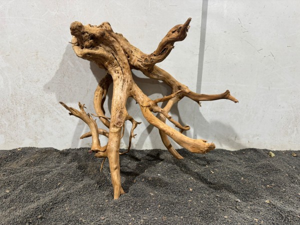 SW22 Spiderwood ca. B41xH34 cm