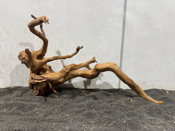 SW25 Spiderwood ca. B60xH34 cm