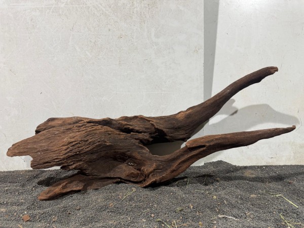 Mekong Driftwood X8 ca. B70xH31 cm