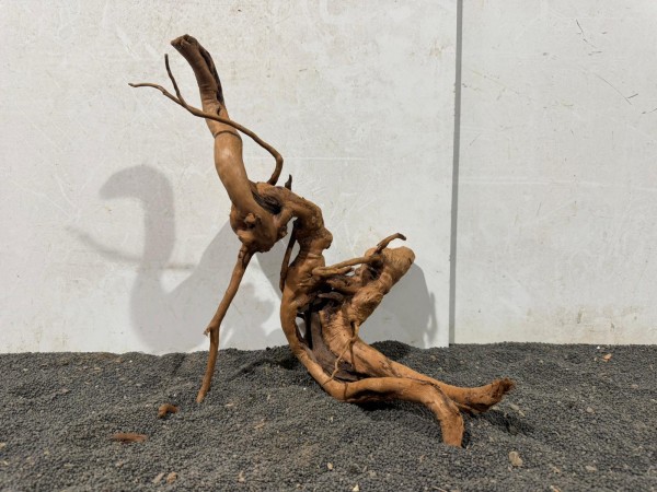 SW31 Spiderwood B33xH34 cm