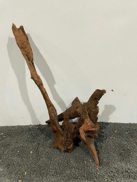 Mekong Driftwood 18 ca. 40cm Wurzel Nano