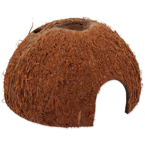 Kokosnussschale Höhle Größe M