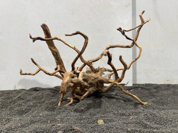 SW21 Spiderwood B43xH29 cm