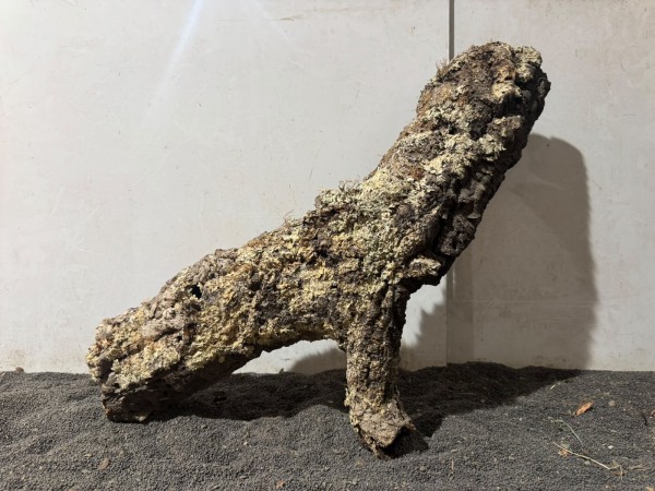 Kork K8 ca. 59x50 cm