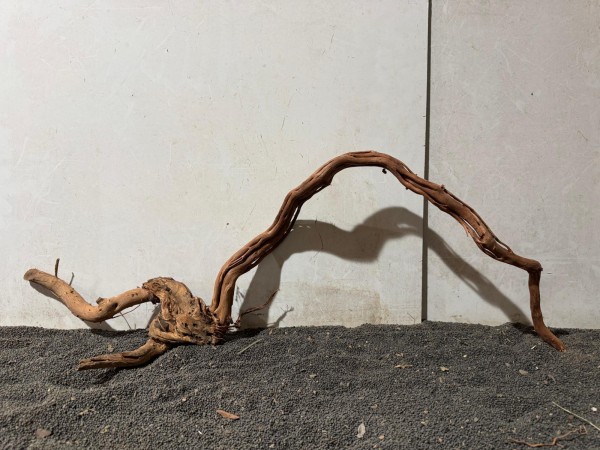 DS24 Dragon Skin Wood ca. B77xH27 cm Wurzel