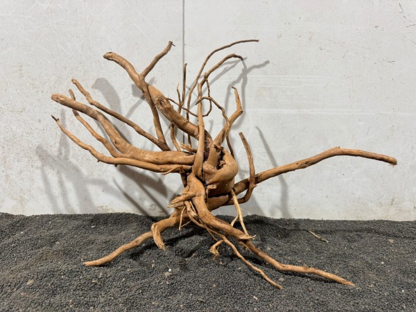 SW48 Spiderwood B50xH34 cm