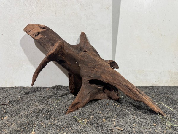 Mekong Driftwood 15 ca. B50xH29 cm