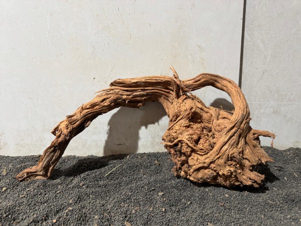 DS22 Dragon Skin Wood ca. B41xH19 cm Wurzel