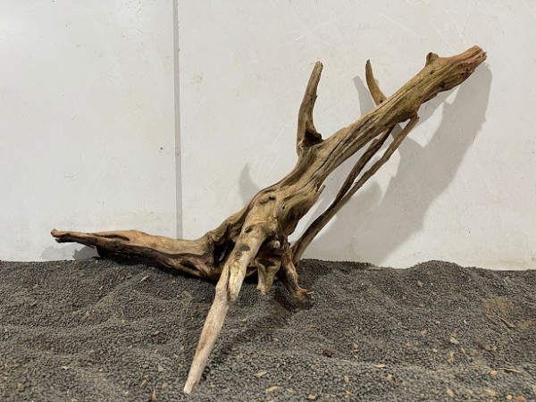 Ghost Driftwood 2 B55xH31 cm