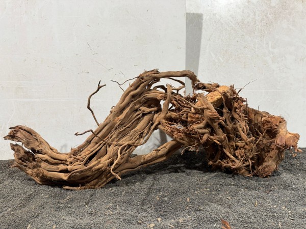 DS19 Dragon Skin Wood ca. B77xH31 cm Wurzel