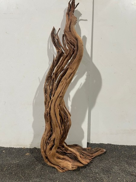 DS7 Dragon Skin Wood ca. 53cm Wurzel