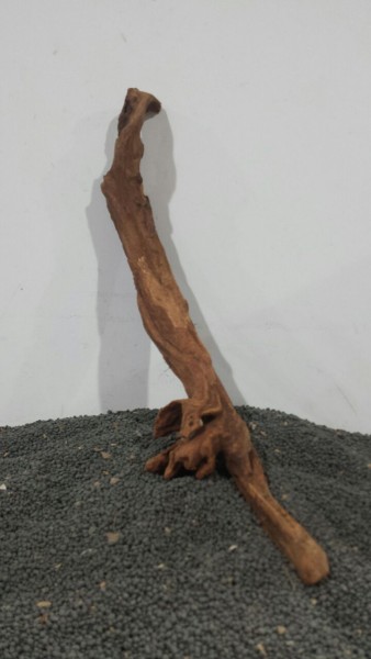 N14 Mekong Driftwood Nano Wurzel 31x6cm
