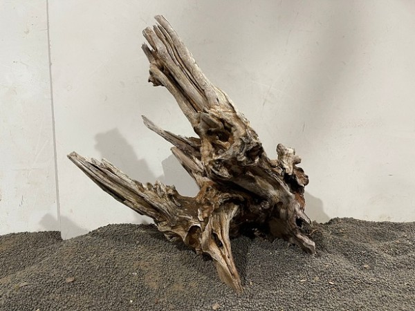 Ghost Driftwood 10 B31xH33 cm