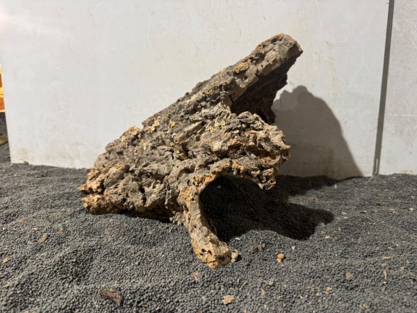 Kork K6 ca. 30x23 cm