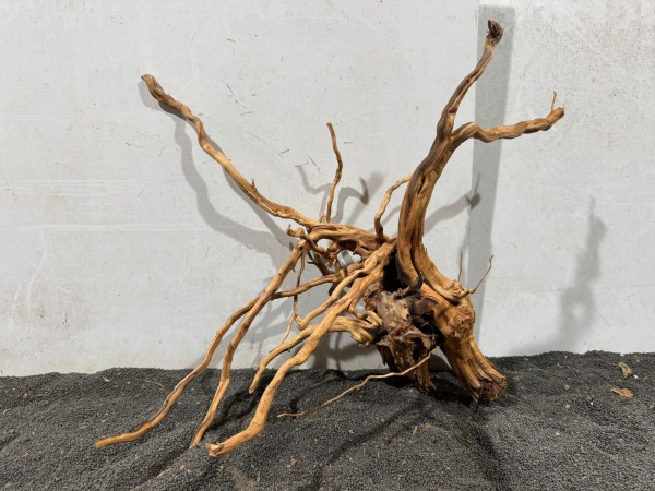 SJ10 Spiderwood Jungle B54xH44 cm