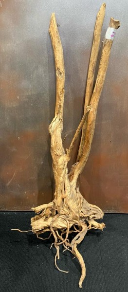 Stumpwood 2 ca. 80 cm