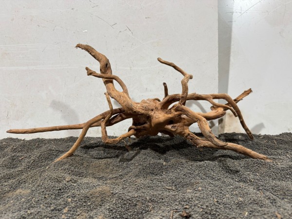 SW31 Spiderwood B52xH24 cm
