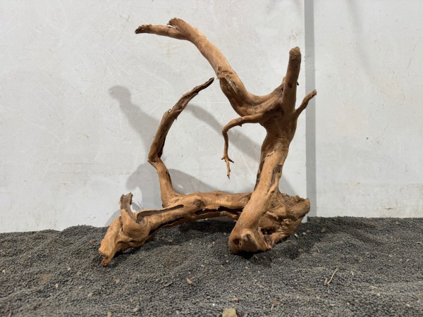 SW59 Spiderwood B31xH33 cm