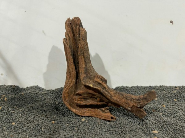 N15 Mekong Driftwood Nano Aquarium Wurzel 18x16cm
