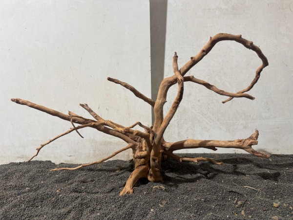 SW18 Spiderwood B54xH34 cm