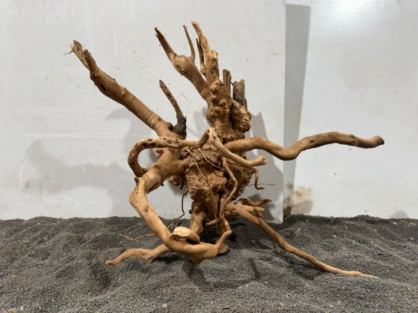 SW 17 Spiderwood ca B51xH40 cm