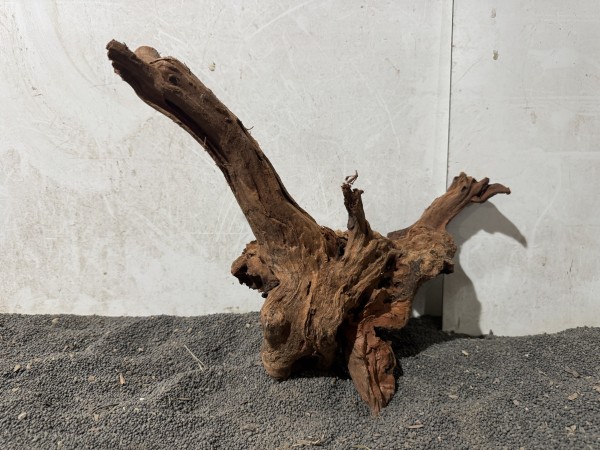 Red Driftwood R22 B32xH33 cm