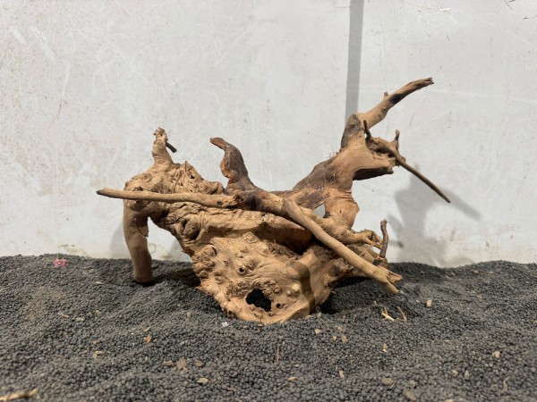 SW5 Spiderwood B33xH22 cm