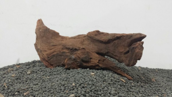N22 Mekong Driftwood Nano Wurzel 15x7cm