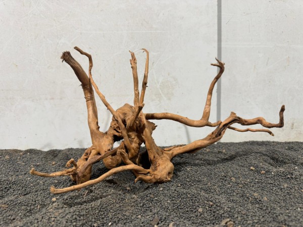 SW54 Spiderwood B32xH20 cm