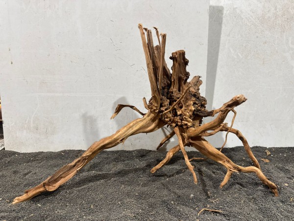 SJ12 Spiderwood Jungle B62xH40 cm