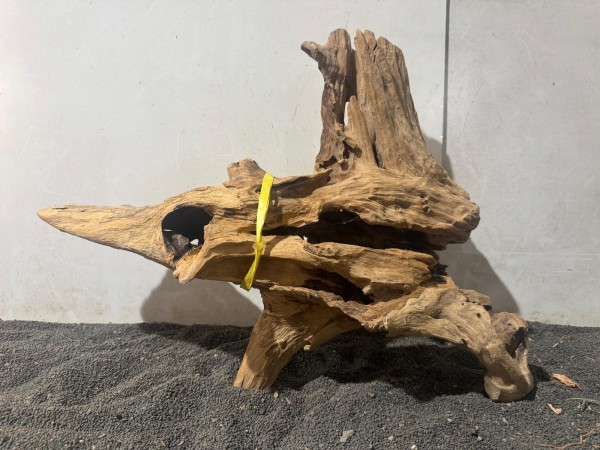 Teakholz XL2 ca B55xH40 cm