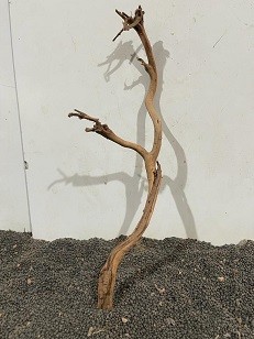 Vietnamesisches Drachenholz VD12 ca. 32 cm