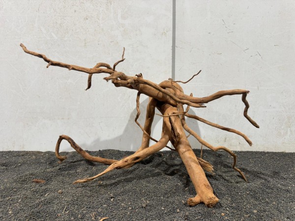 SW25 Spiderwood ca. B46xH24 cm