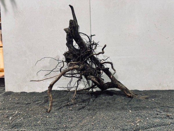 B29 Black Spiderwood ca B51xH44 cm