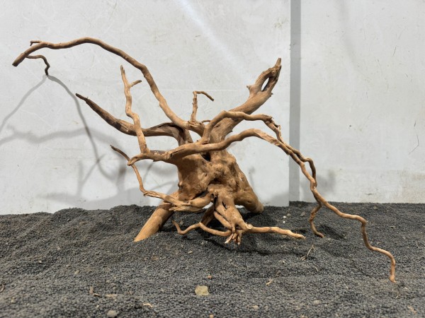 SW2 Spiderwood ca. B48xH29 cm