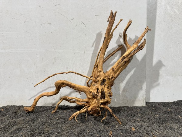 SJ11 Spiderwood Jungle ca B39xH33 cm