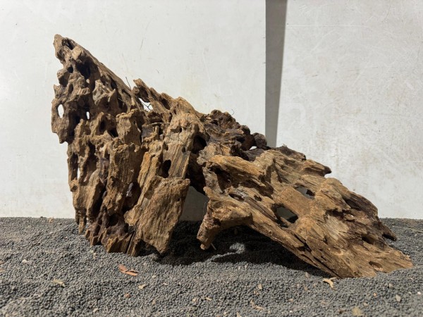 DH42 Drachenholz B48xH31 cm